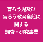 盲ろう児及び盲ろう教育全般に関する調査研究事業