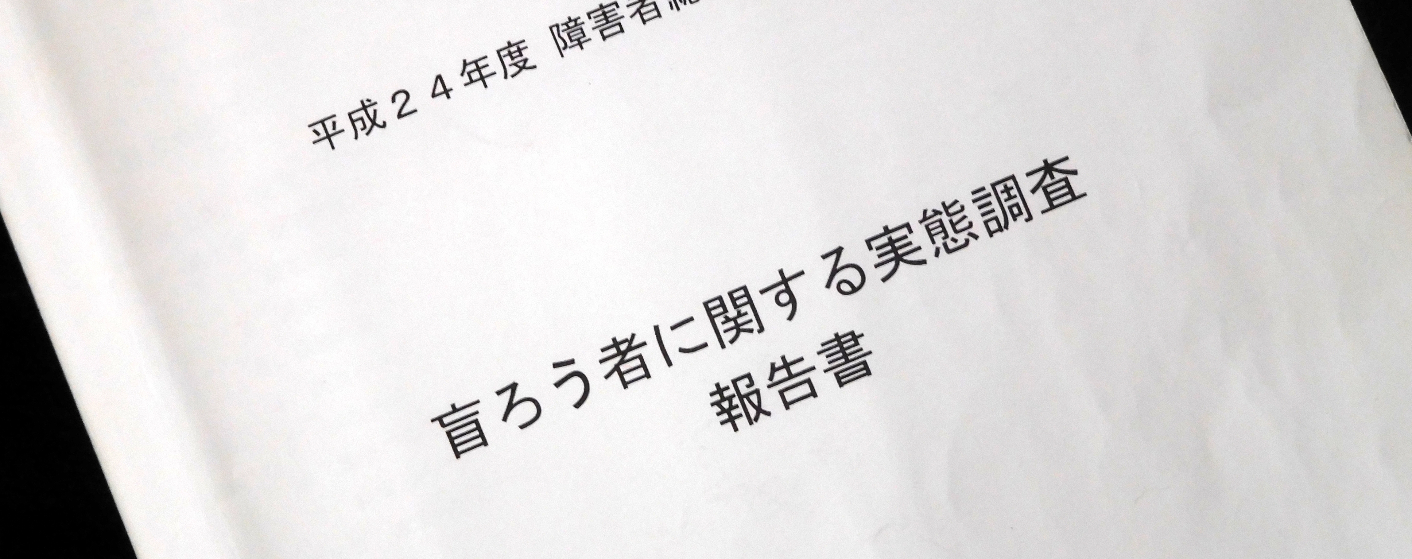 画像：H24盲ろう者に関する実態調査報告書